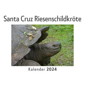 27amigos Santa Cruz Riesenschildkröte (Wandkalender 2024 Kalender Din A4 Quer Monatskalender Im Querformat Mit Kalendarium Das Perfekte Geschenk)