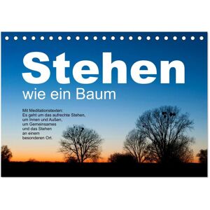 Stehen Wie Ein Baum (Tischkalender 2025 Din A5 Quer) Calvendo Monatskalender