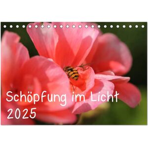 Schöpfung Im Licht (Tischkalender 2025 Din A5 Quer) Calvendo Monatskalender