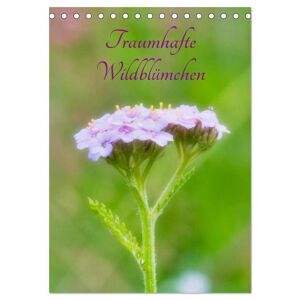 Traumhafte Wildblümchen (Tischkalender 2025 Din A5 Hoch) Calvendo Monatskalender