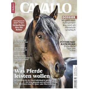 Cavallo Abo