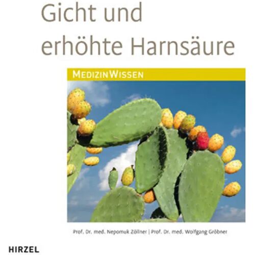 Hirzel Gicht Und Erhöhte Harnsäure – Nepomuk Zöllner, Wolfgang Gröbner, Kartoniert (TB)