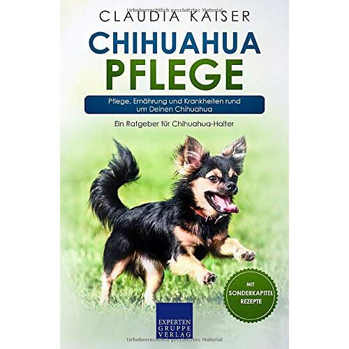 Claudia Kaiser - GEBRAUCHT Chihuahua Pflege: Pflege, Ernährung und Krankheiten rund um Deinen Chihuahua (Chihuahua Band, Band 3) - Preis vom 13.05.2024 04:51:39 h