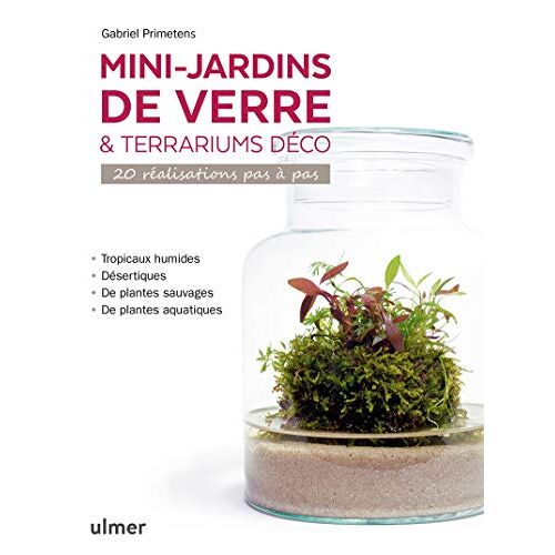 Gabriel Primetens – GEBRAUCHT Mini-jardins de verre & terrariums déco – 20 réalisations pas à pas: 20 réalisation pas à pas – Preis vom 07.01.2024 05:53:54 h