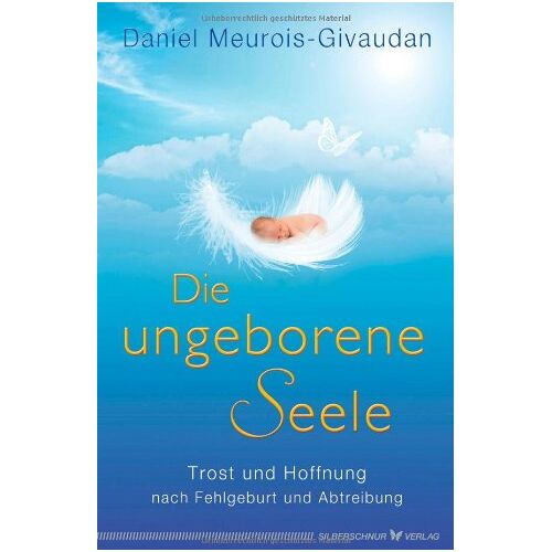 Daniel Meurois-Givaudan – GEBRAUCHT Die ungeborene Seele – Trost und Hoffnung nach Fehlgeburt und Abtreibung – Preis vom 20.12.2023 05:52:08 h