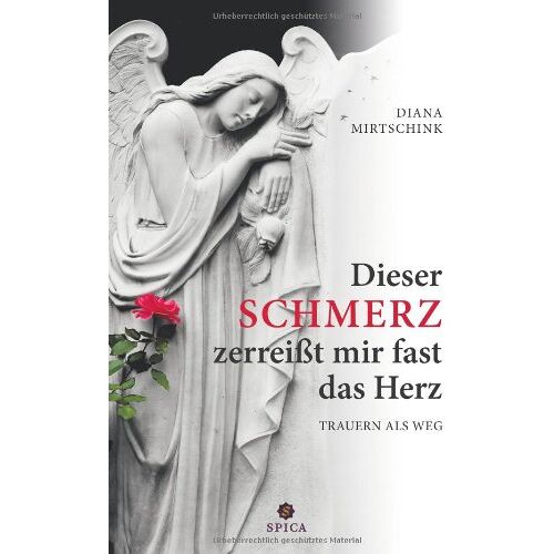 Diana Mirtschink – Dieser Schmerz zerreißt mir fast das Herz: Trauern als Weg