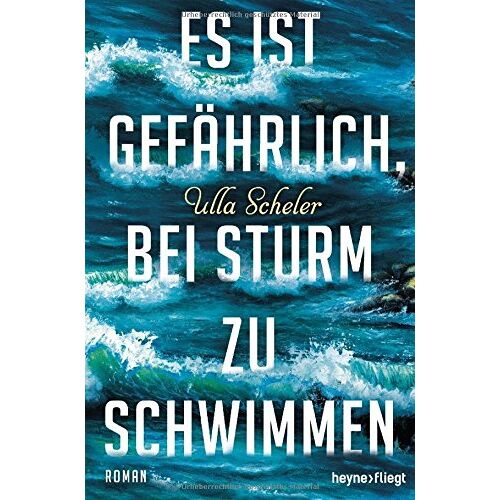 Ulla Scheler – GEBRAUCHT Es ist gefährlich, bei Sturm zu schwimmen: Roman – Preis vom 22.12.2023 05:50:38 h