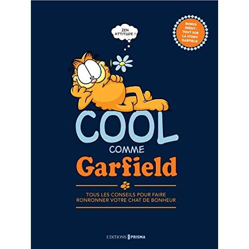 Collectif – GEBRAUCHT Cool comme Garfield : Le livre pour faire ronronner votre chat de bonheur – Preis vom 07.01.2024 05:53:54 h