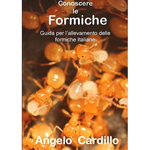 Angelo Cardillo – CONOSCERE LE FORMICHE
