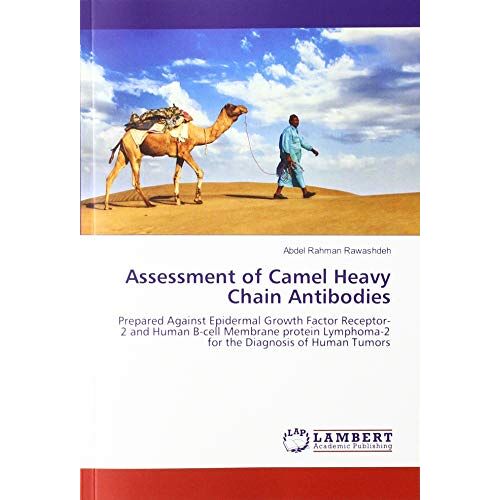 Rawashdeh, Abdel Rahman – Assessment of Camel Heavy Chain Antibodies: Prepared Against Epidermal Growth Factor Receptor-2 and Human B-cell Membrane protein Lymphoma-2 for the Diagnosis of Human Tumors