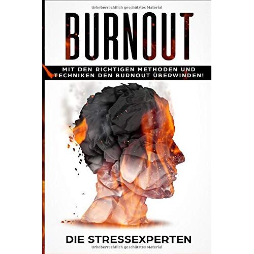 Die Stressexperten – GEBRAUCHT Burnout: Mit den richtigen Methoden und Techniken den Burnout überwinden – Preis vom 08.01.2024 05:55:10 h