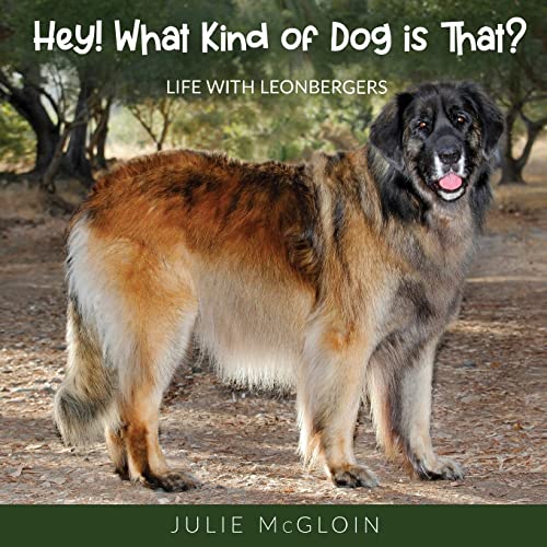 Julie McGloin - Hey! What Kind of Dog is That?: Life With Leonbergers
