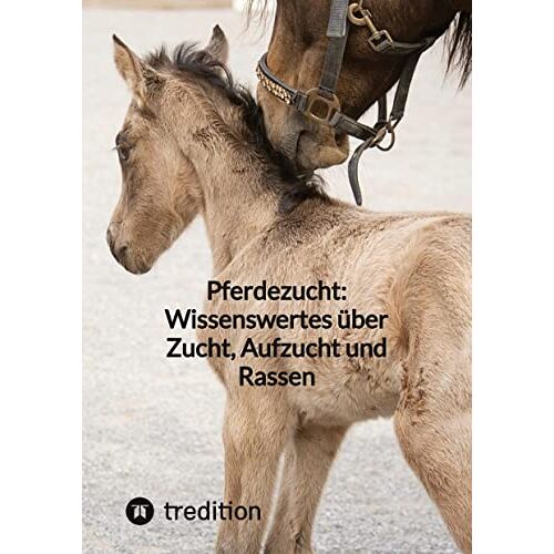 Moritz – Pferdezucht: Wissenswertes über Zucht, Aufzucht und Rassen