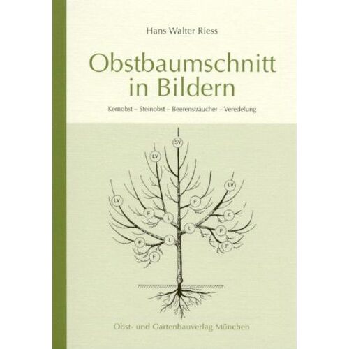 Riess, Hans Walter – GEBRAUCHT Obstbaumschnitt in Bildern: Kernobst – Steinobst – Beerensträucher – Veredlung – Preis vom 08.01.2024 05:55:10 h