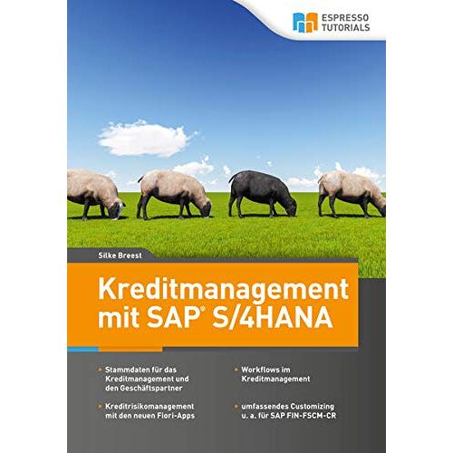 Breest Silke – Kreditmanagement mit SAP S/4HANA