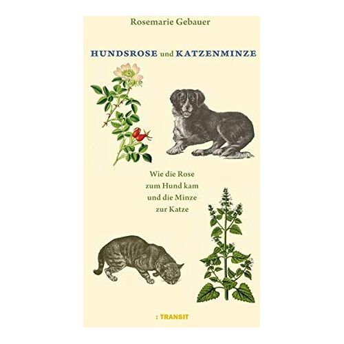 Rosemarie Gebauer – GEBRAUCHT Hundsrose und Katzenminze: Wie die Rose zum Hund kam und die Katze zur Minze. Tierische Pflanzennamen – Preis vom 04.01.2024 05:57:39 h