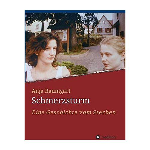 Anja Baumgart – Schmerzsturm: Eine Geschichte vom Sterben