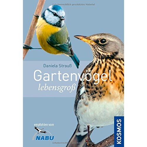Daniela Strauß - GEBRAUCHT Gartenvögel lebensgroß - Preis vom 27.05.2024 05:14:03 h