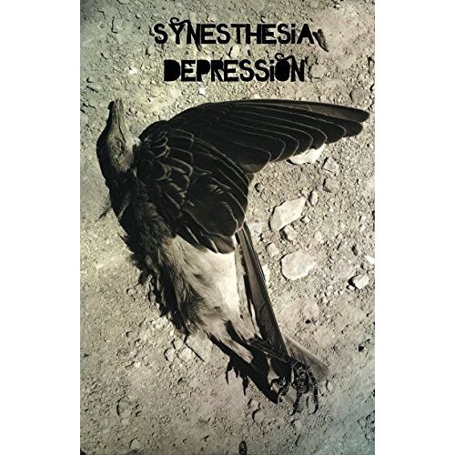 Little Alice – GEBRAUCHT Synesthesia – Depression – Preis vom 08.01.2024 05:55:10 h