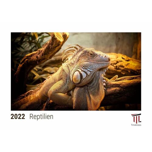 Timokrates Verlag Reptilien 2022 – Timokrates Kalender Tischkalender Bildkalender – Din A5 (21 X 15 Cm)