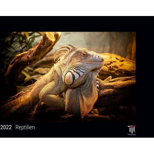 Timokrates Verlag Reptilien 2022 – Black Edition – Timokrates Kalender Wandkalender Bildkalender – Din A3 (42 X 30 Cm)