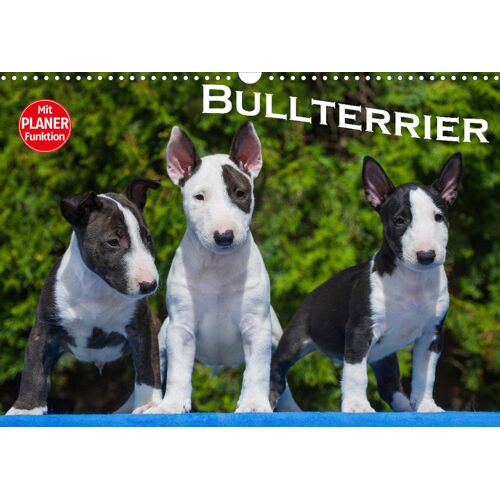 Calvendo Bullterrier (Wandkalender 2023 Din A3 Quer)