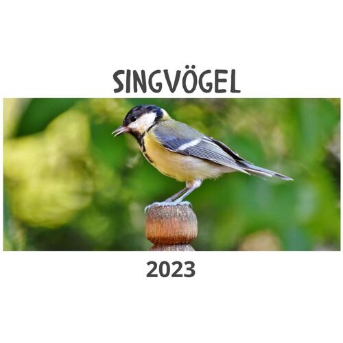 27Amigos Singvögel