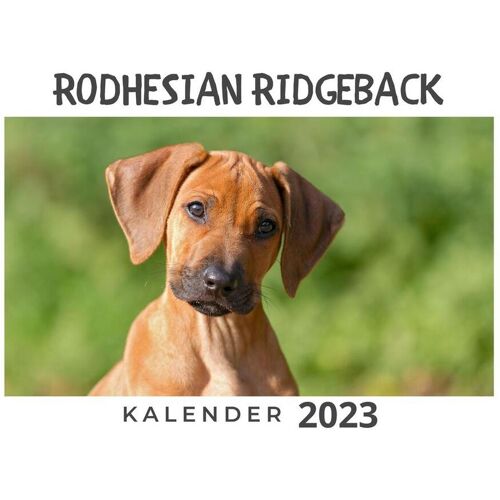 27Amigos Rodhesian Ridgeback