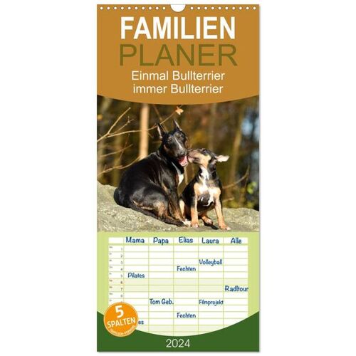 Familienplaner 2024 - Einmal Bullterrier - Immer Bullterrier Mit 5 Spalten (Wandkalender 21 X 45 Cm) Calvendo