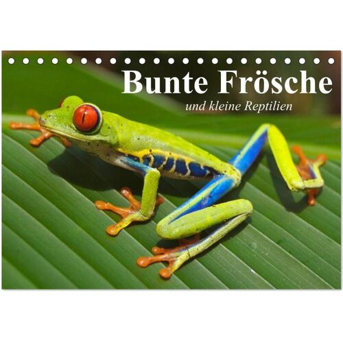 Calvendo Bunte Frösche Und Kleine Reptilien (Tischkalender 2024 Din A5 Quer) Calvendo Monatskalender