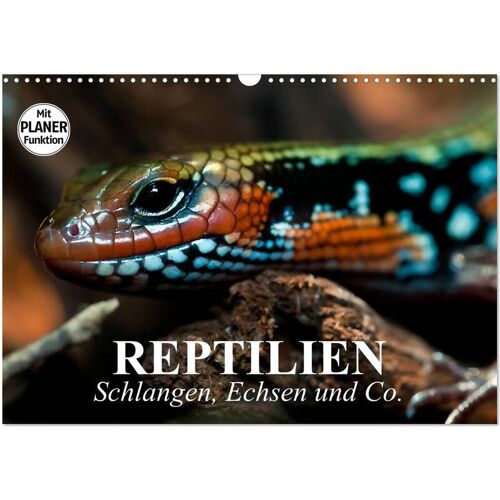 Calvendo Reptilien. Schlangen Echsen Und Co. (Wandkalender 2024 Din A3 Quer) Calvendo Monatskalender