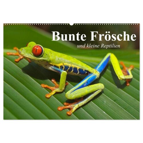 Calvendo Bunte Frösche Und Kleine Reptilien (Wandkalender 2024 Din A2 Quer) Calvendo Monatskalender