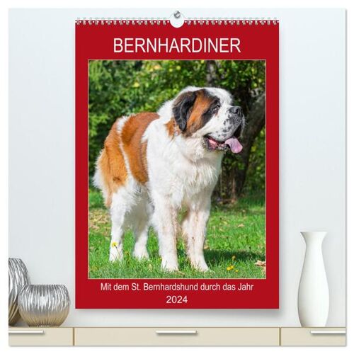 Calvendo Bernhardiner - Mit Dem St. Bernhardshund Durch Das Jahr (Hochwertiger Premium Wandkalender 2024 Din A2 Hoch) Kunstdruck In Hochglanz