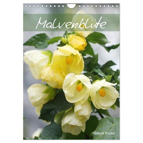 Malvenblüte (Wandkalender 2024 Din A4 Hoch) Calvendo Monatskalender