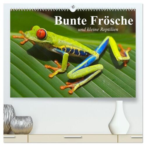 Calvendo Bunte Frösche Und Kleine Reptilien (Hochwertiger Premium Wandkalender 2024 Din A2 Quer) Kunstdruck In Hochglanz
