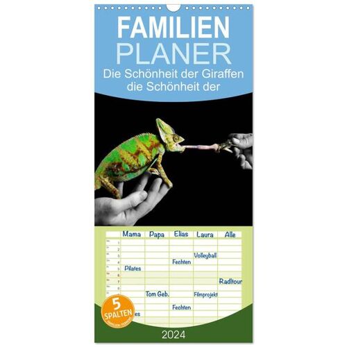 Calvendo Familienplaner 2024 – Faszination Reptilien Mit 5 Spalten (Wandkalender 21 X 45 Cm) Calvendo