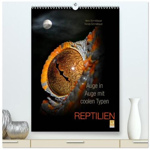 Calvendo Auge In Auge Mit Coolen Typen – Reptilien (Hochwertiger Premium Wandkalender 2024 Din A2 Hoch) Kunstdruck In Hochglanz