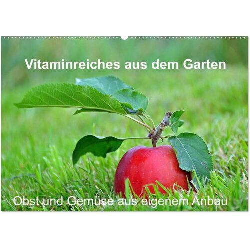 Calvendo Vitaminreiches Aus Dem Garten (Wandkalender 2024 Din A2 Quer) Calvendo Monatskalender