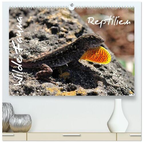 Calvendo Wilde Fauna – Reptilien (Hochwertiger Premium Wandkalender 2024 Din A2 Quer) Kunstdruck In Hochglanz