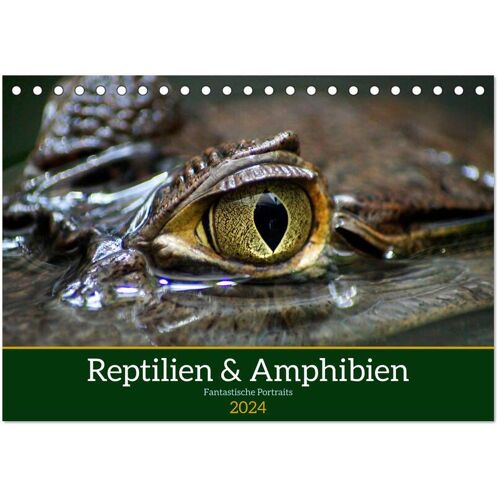 Calvendo Reptilien & Amphibien Portraits (Tischkalender 2024 Din A5 Quer) Calvendo Monatskalender