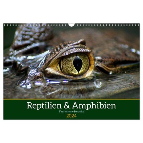 Calvendo Reptilien & Amphibien Portraits (Wandkalender 2024 Din A3 Quer) Calvendo Monatskalender