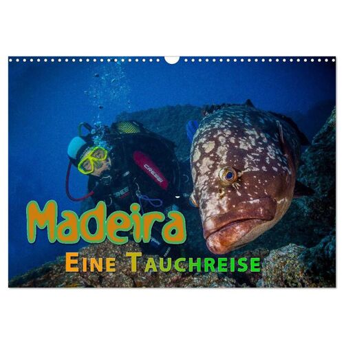 Calvendo Verlag Madeira Eine Tauchreise (Wandkalender 2024 Din A3 Quer) Calvendo Monatskalender