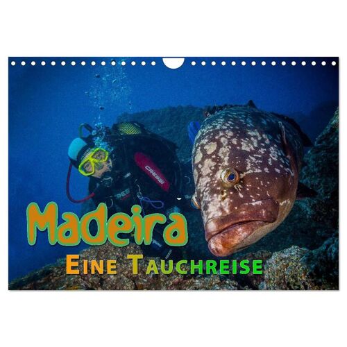 Calvendo Verlag Madeira Eine Tauchreise (Wandkalender 2024 Din A4 Quer) Calvendo Monatskalender