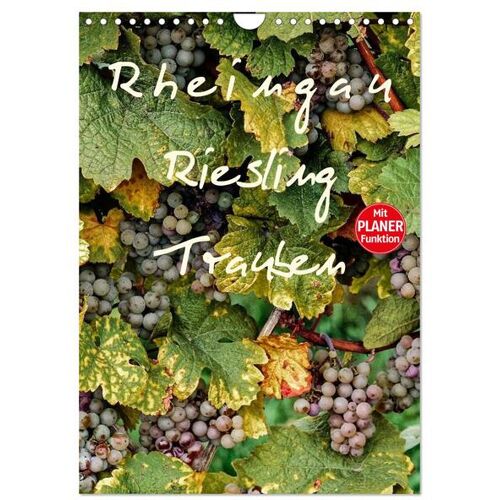 Calvendo Verlag Rheingau – Riesling Trauben (Wandkalender 2024 Din A4 Hoch) Calvendo Monatskalender