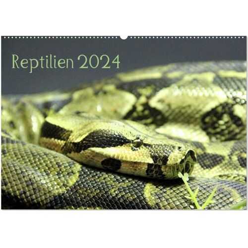 Calvendo Verlag Reptilien 2024 (Wandkalender 2024 Din A2 Quer) Calvendo Monatskalender