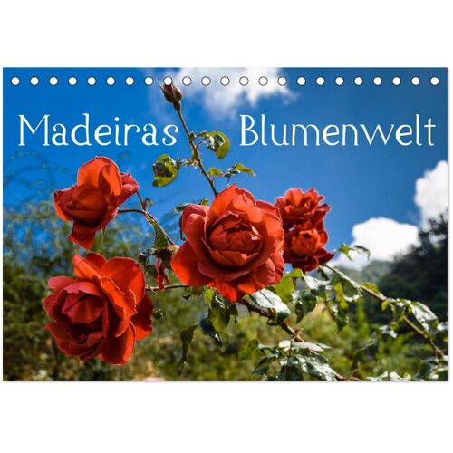 Calvendo Verlag Madeiras Blumenwelt (Tischkalender 2024 Din A5 Quer) Calvendo Monatskalender