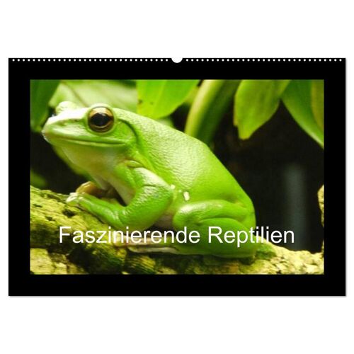 Calvendo Verlag Faszinierende Reptilien (Wandkalender 2024 Din A2 Quer) Calvendo Monatskalender
