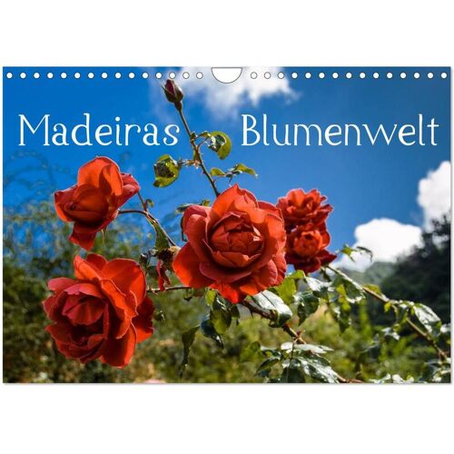 Calvendo Verlag Madeiras Blumenwelt (Wandkalender 2024 Din A4 Quer) Calvendo Monatskalender