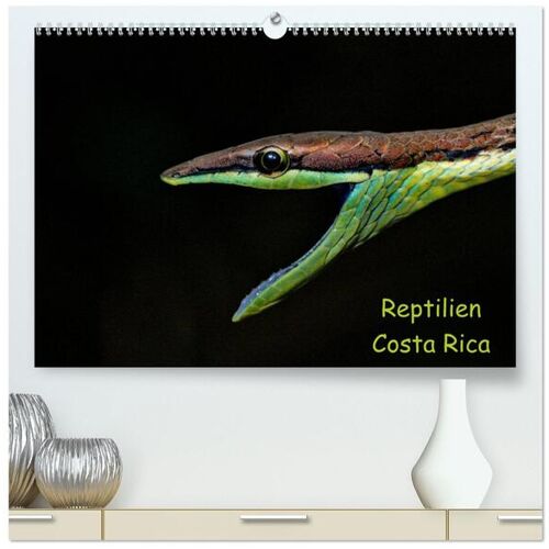 Calvendo Verlag Reptilien Costa Rica (Hochwertiger Premium Wandkalender 2024 Din A2 Quer) Kunstdruck In Hochglanz