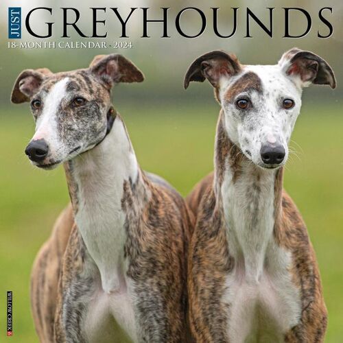 WILLOW CREEK PR Just Greyhounds 2024 12 X 12 Wall Calendar